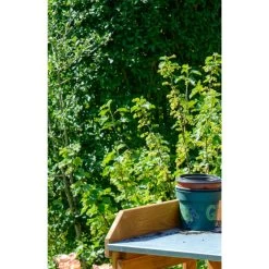 Dobar 29053 Zusammenklappbarer Pflanztisch Aus Kiefernholz, 85 X 44 X 89 Cm -Heimische Küche Geschäft 1622612000 prod 004