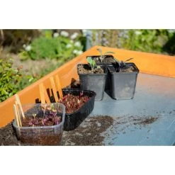 Dobar 29053 Zusammenklappbarer Pflanztisch Aus Kiefernholz, 85 X 44 X 89 Cm -Heimische Küche Geschäft 1622612000 prod 006