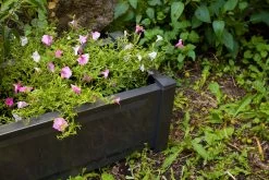 Pflanzkasten Rechteckig, Anthrazit -Heimische Küche Geschäft 1825836001 prod 006