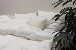 Sleep Classic Leichte Sommerdecke, Kuschelig Weich Versch. Größen -Heimische Küche Geschäft 2227280000 prod 004