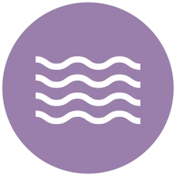 Furdaddy Tierhaarentferner -Heimische Küche Geschäft 2278154000 prod 004