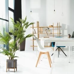 Kunstpflanze ARECA I Kunststoff, Stoff Hjh OFFICE -Heimische Küche Geschäft 8600313100 871010 prod 006