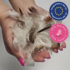 Wometo Federkissen Premium - Kopfkissen Aus Baumwolle Mit Füllung Aus 90% Federn Und 10% Daunen 11 Wometo Federkissen Premium - Kopfkissen Aus Baumwolle Mit Füllung Aus 90% Federn Und 10% Daunen -Heimische Küche Geschäft 8600365200 2478 prod 004