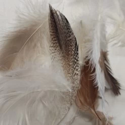 Wometo Federkissen Premium - Kopfkissen Aus Baumwolle Mit Füllung Aus 90% Federn Und 10% Daunen 12 Wometo Federkissen Premium - Kopfkissen Aus Baumwolle Mit Füllung Aus 90% Federn Und 10% Daunen -Heimische Küche Geschäft 8600365200 2478 prod 005